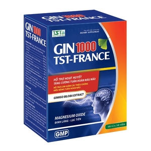 Gin 1000 TST-France